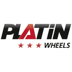 PLATIN logo