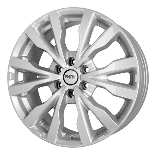 PLATIN 6,5x16  Platin  P86 ID-Nr:RL09448