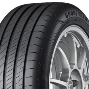 GOODYEAR 195/55R 16 91H TL EfficientGrip Perf.2 X EXTRA LOAD